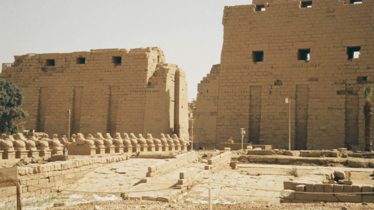 Scientists Discover te