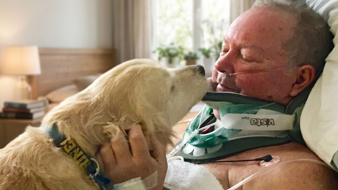 A Man Broke His Neck Falling 