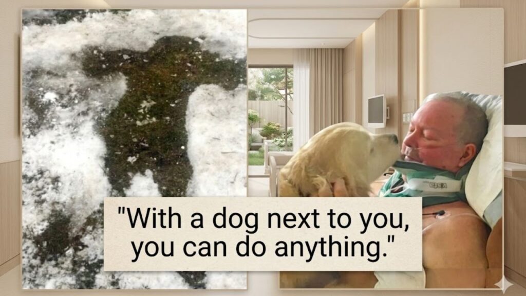 A Man Broke His Neck Falling