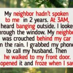 11 Stories That Teach Us to Stay Kind, Even When the World Tests Us