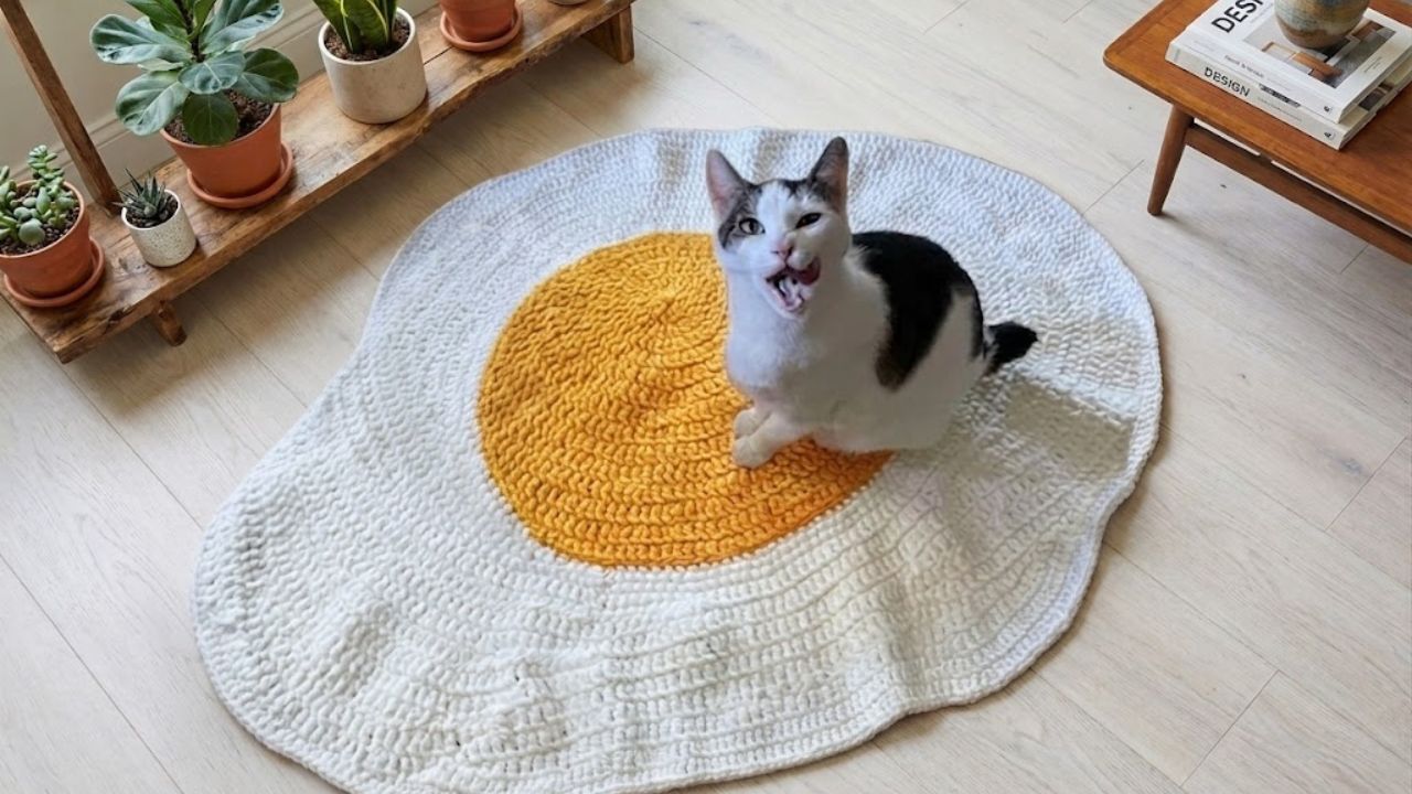 Just Felt Like Making an Egg