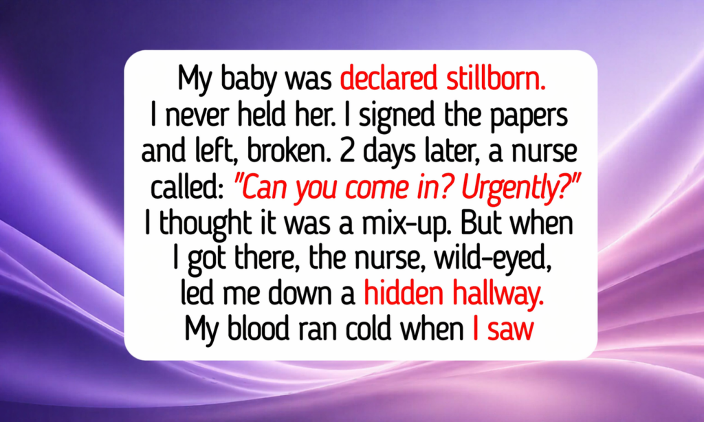 True Stories That Show Quiet